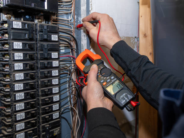 Best Electrical System Inspection  in Douglas, AL